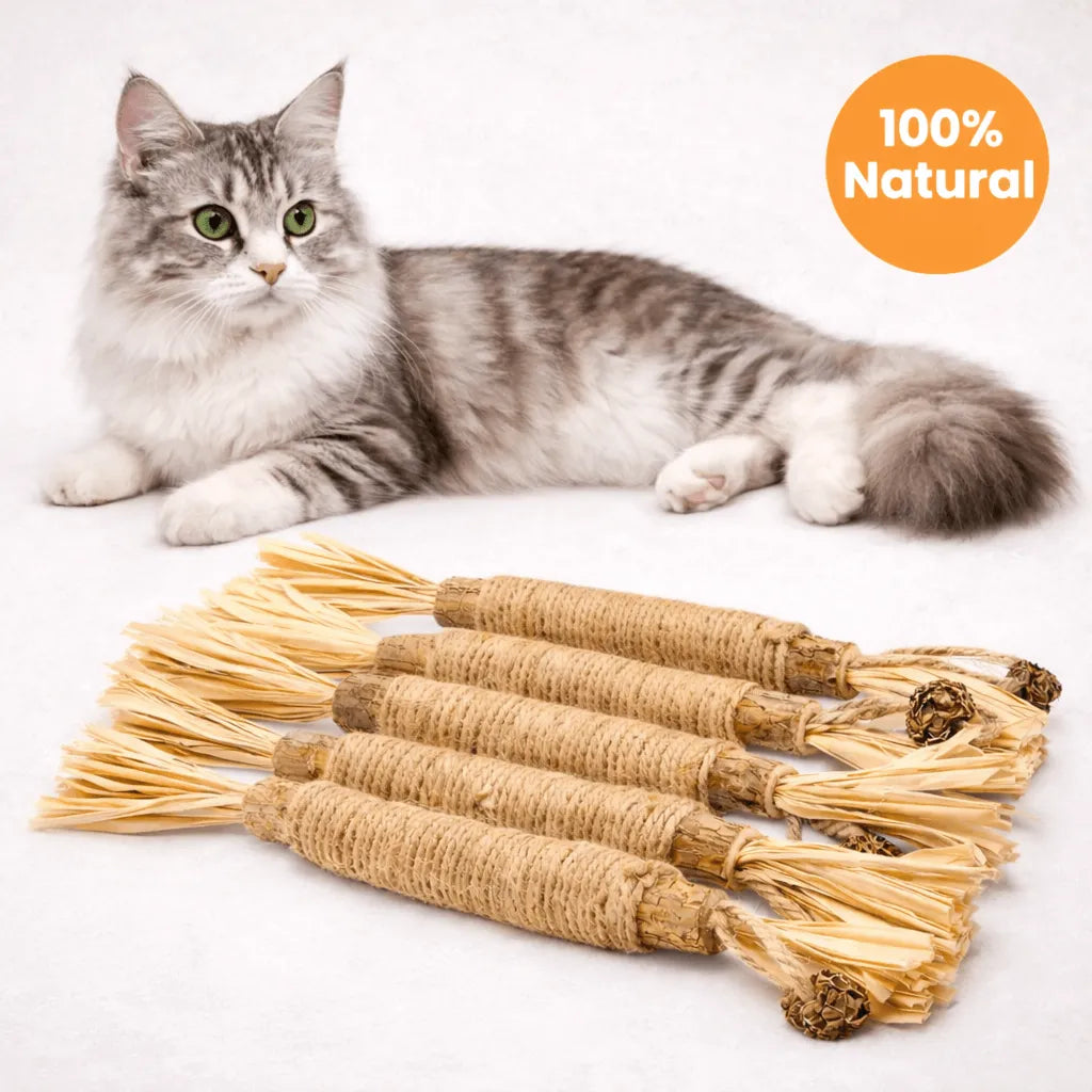 5 Silvervine Dental Chew Sticks By Grandpa Whiskers