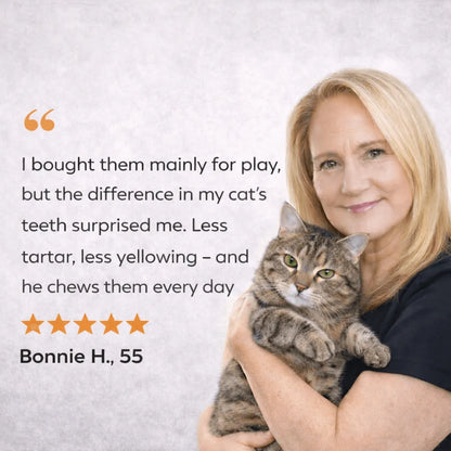 5 Silvervine Dental Chew Sticks By Grandpa Whiskers