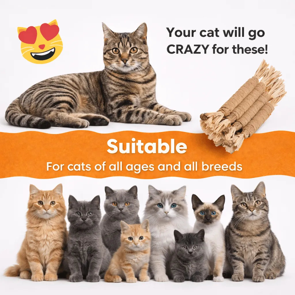 5 Silvervine Dental Chew Sticks By Grandpa Whiskers