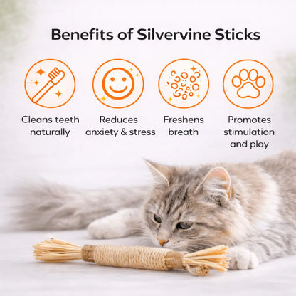 5 Silvervine Dental Chew Sticks By Grandpa Whiskers